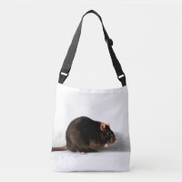 Rat cbbcnm