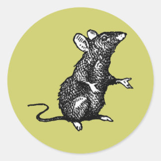 "rat face" - Customised Classic Round Sticker