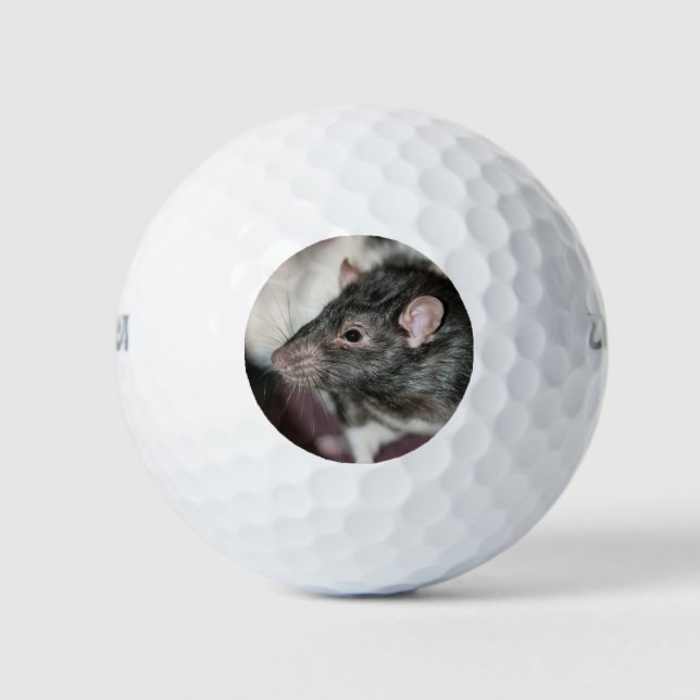 Rat Golf Balls (Front)