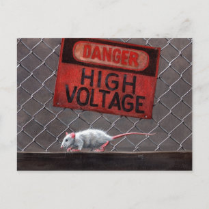 Rat high voltage sign on fence Postcard