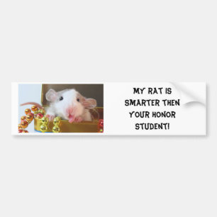 Rat Honour Student Bumper Sticker