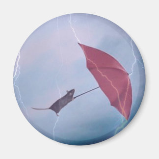 Rat In A Storm Magnet