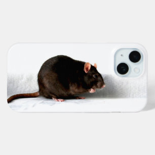 Rat iphcna iPhone 15 case