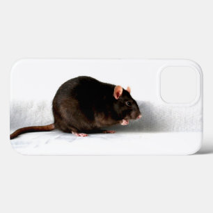 Rat iphcna iPhone 13 case