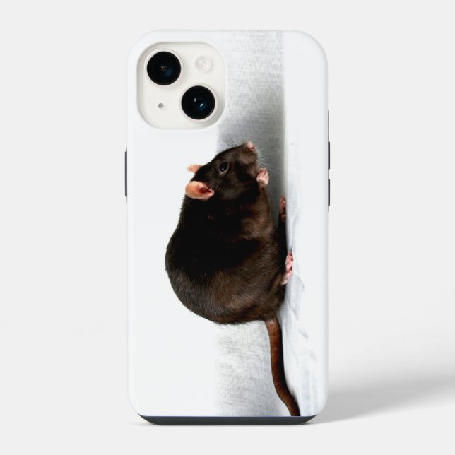 Rat iphcnm iPhone case (Back)