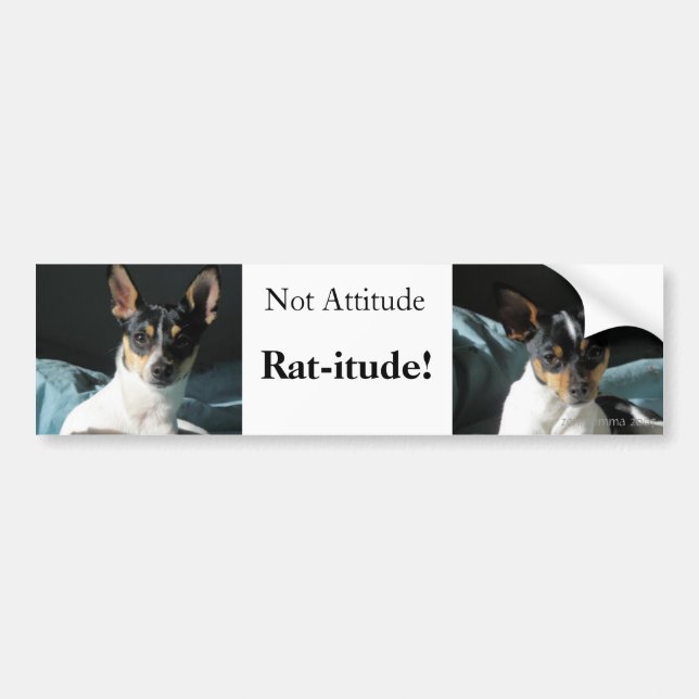Rat-itude! Bumper Sticker (Front)