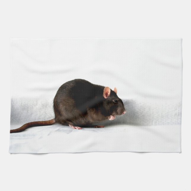 Rat ktcna tea towel (Horizontal)