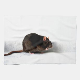Rat ktcnm tea towel