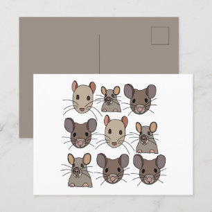 Rat Mouse Mice Postcard
