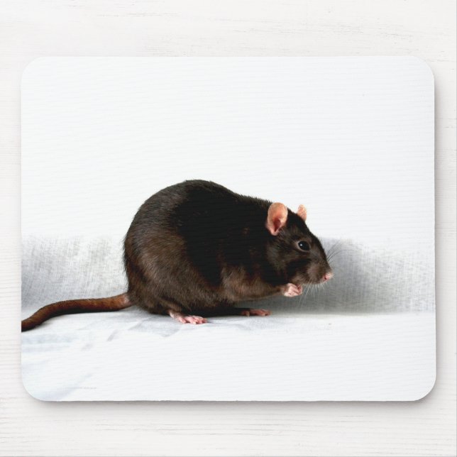 Rat mpm mouse mat (Front)
