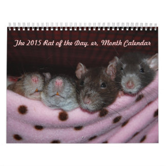 Rat of the Day, er, Month Calendar