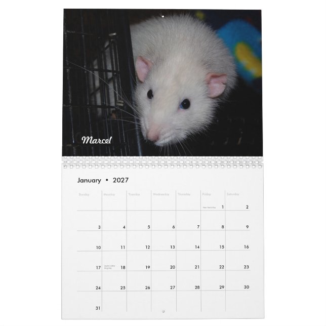 Rat of the Day, er, Month Calendar (Jan 2027)