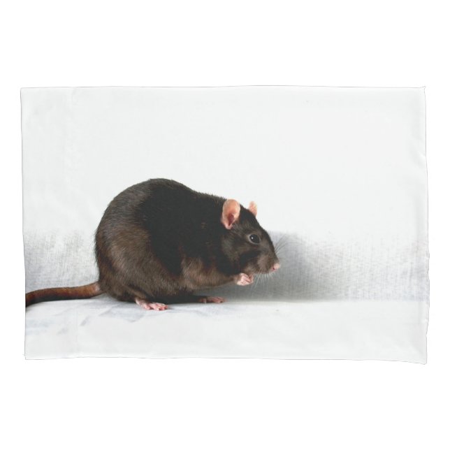 Rat pccnm pillowcase (Front)