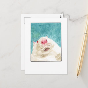 Rat Pet Selfie- DNM Postcards