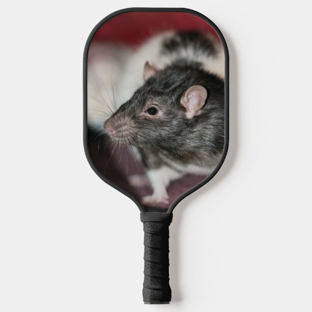 Rat Pickleball Paddle (Front)