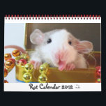 Rat Picture 2012 Calendar<br><div class="desc">12 months of rattie cuteness at your fingertips!</div>