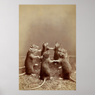 Rat Ritual Photo, Creepy Vintage Animal Print