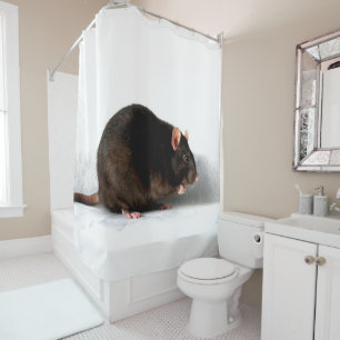 Rat sccn shower curtain