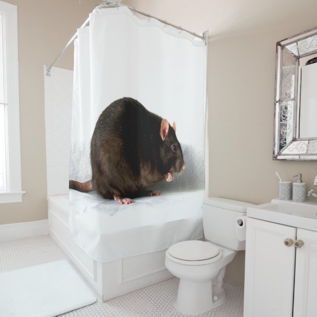 Rat sccna shower curtain (In Situ)