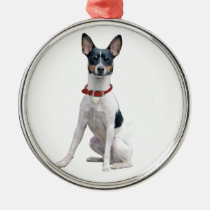 Rat Terrier (A) Metal Tree Decoration