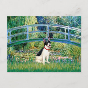 Rat Terrier - Bridge Postcard