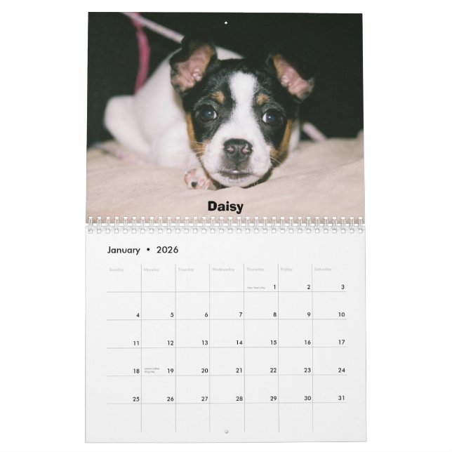 Rat Terrier Calendar (Jan 2026)
