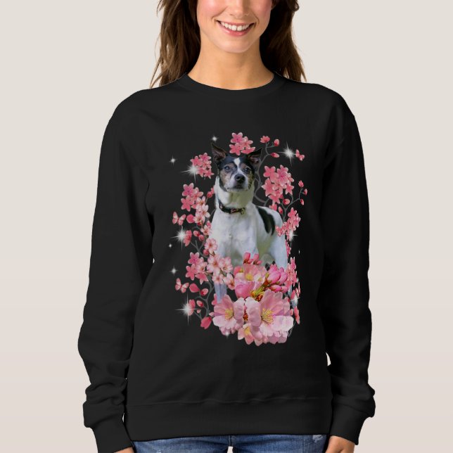 Rat Terrier Cherry Blossom Flowers Sweatshirt (Front)