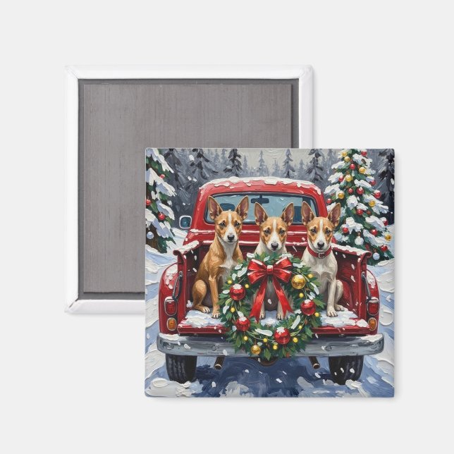 Rat Terrier Christmas Red Truck Holiday Magnet (Front/Back)
