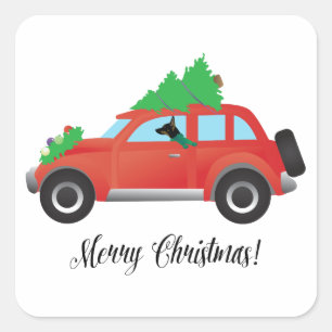 Rat Terrier Dog Driving a Christmas Car Square Sticker