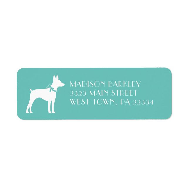 Rat Terrier Dog Puppy (Front)