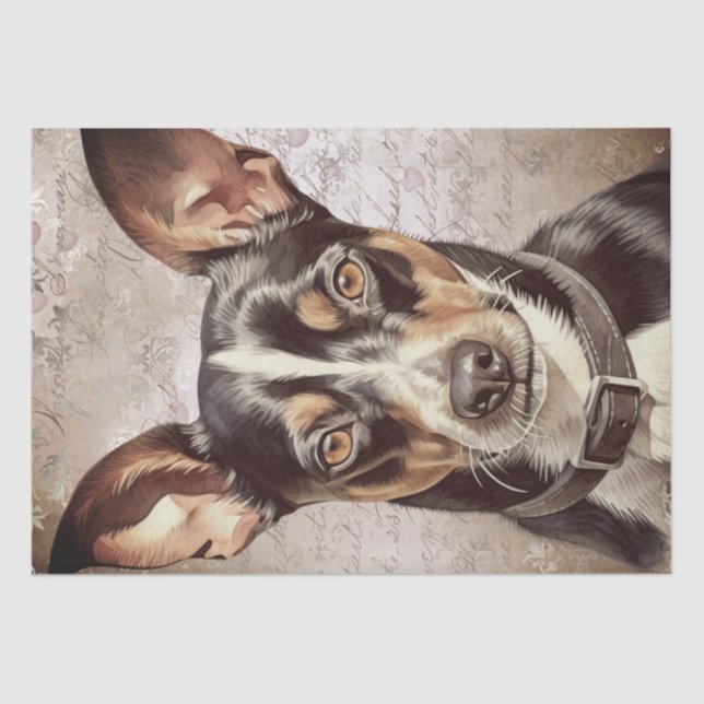 Rat Terrier Dog Tissue Paper (Front)