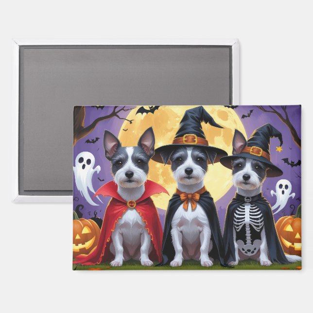 Rat Terrier Dogs Pumpkin Halloween Funny Magnet (Front/Back)