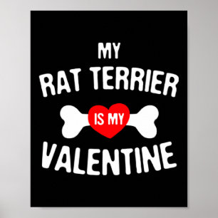 Rat Terrier Is My Valentine Rat Terrier Dog  Poster