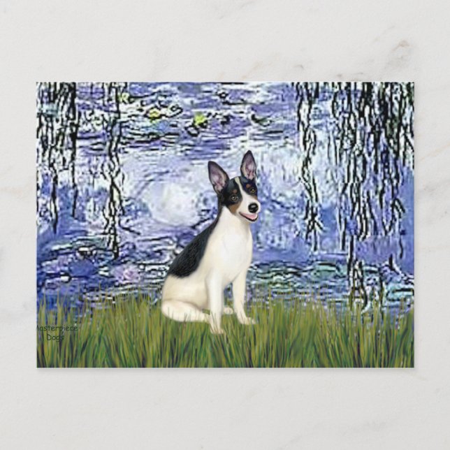 Rat Terrier - Lilies 6 Postcard (Front)