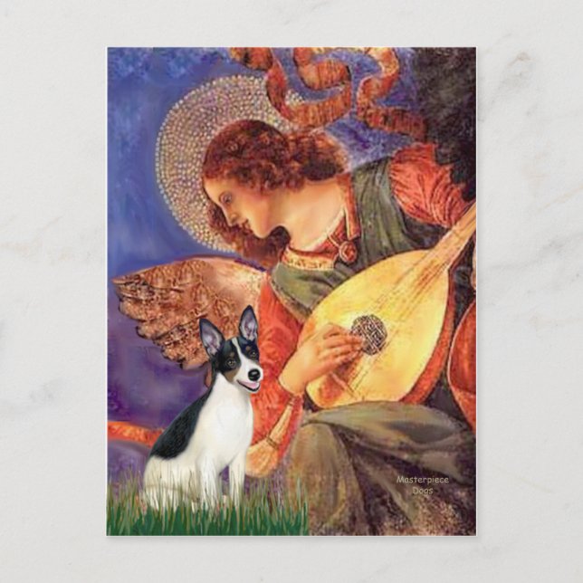 Rat Terrier - Mandolin Angel Postcard (Front)