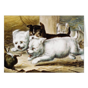 Rat Terrier Puppies - Vintage Fine Art
