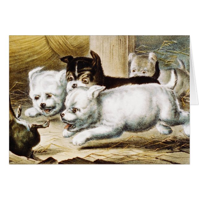 Rat Terrier Puppies - Vintage Fine Art (Front Horizontal)