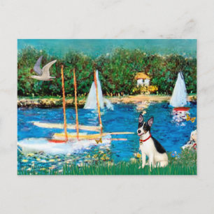 Rat Terrier - Sailboats Postcard