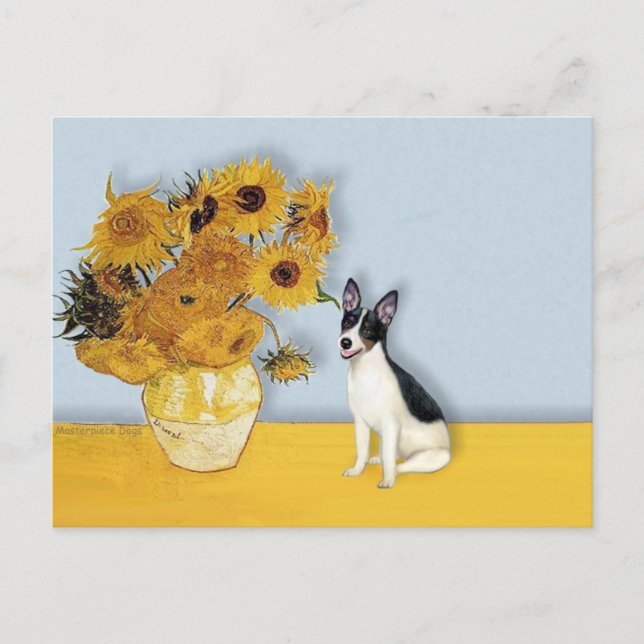 Rat Terrier - Sunflowers Postcard (Front)