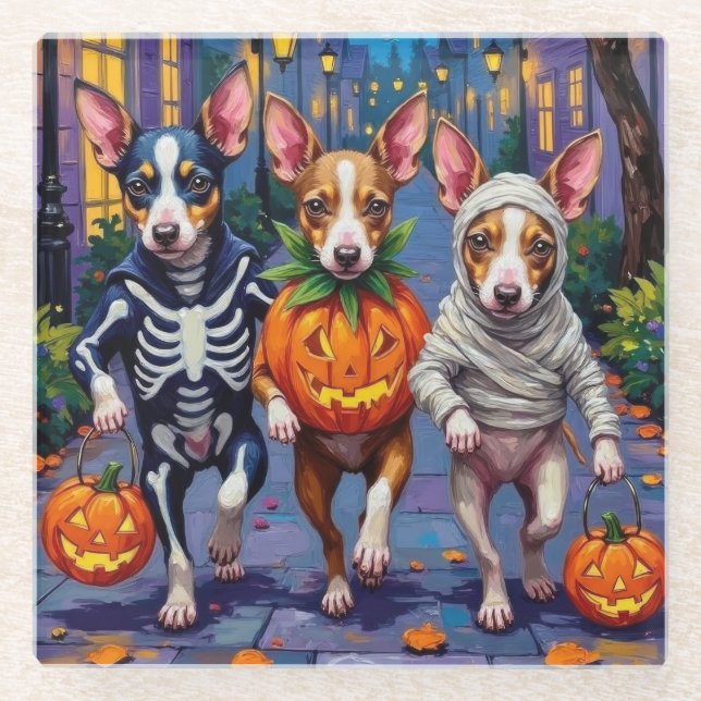 Rat Terrier Trick-or-Treating Halloween Costumes Glass Coaster (Front)