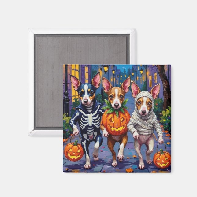 Rat Terrier Trick-or-Treating Halloween Costumes Magnet (Front/Back)