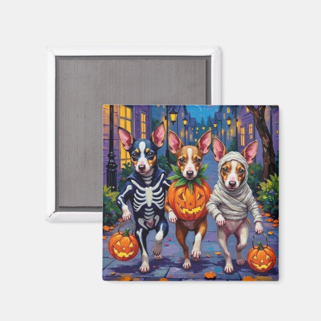 Rat Terrier Trick-or-Treating Halloween Costumes Magnet (Front/Back)