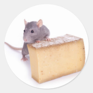 rat with cheese classic round sticker