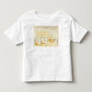 Rates and letter postage toddler T-Shirt