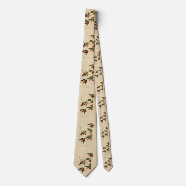 Rathbone (Yellow) Warbler Audubon Birds of America Tie (Front)