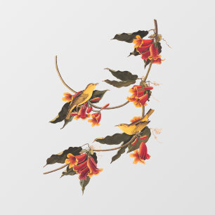 Rathbone's Warbler Song Bird on Crossvine Window Cling