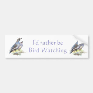 Rather be Bird Watching California Quail Quote Fun Bumper Sticker