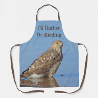 Rather Be Birding Hobby Wild Raptor Bird Hawk