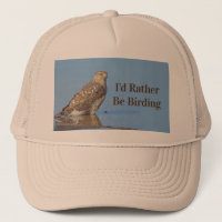 Rather Be Birding Hobby Wild Raptor Bird Hawk