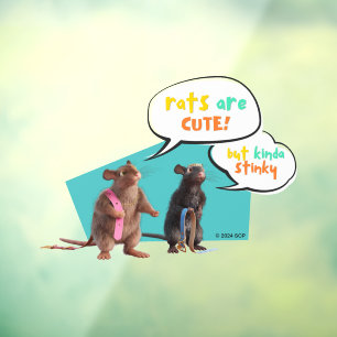 Rats Are Cute But Kinda Stinky Window Cling